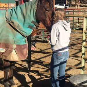 Meet your Posher, Morgan